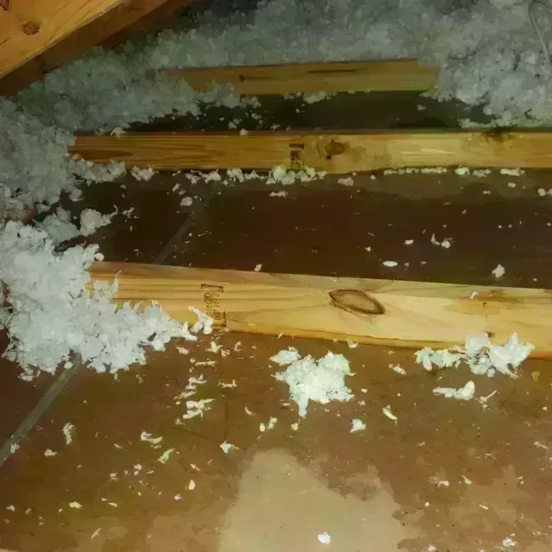 Attic Water Damage in Burns, OR