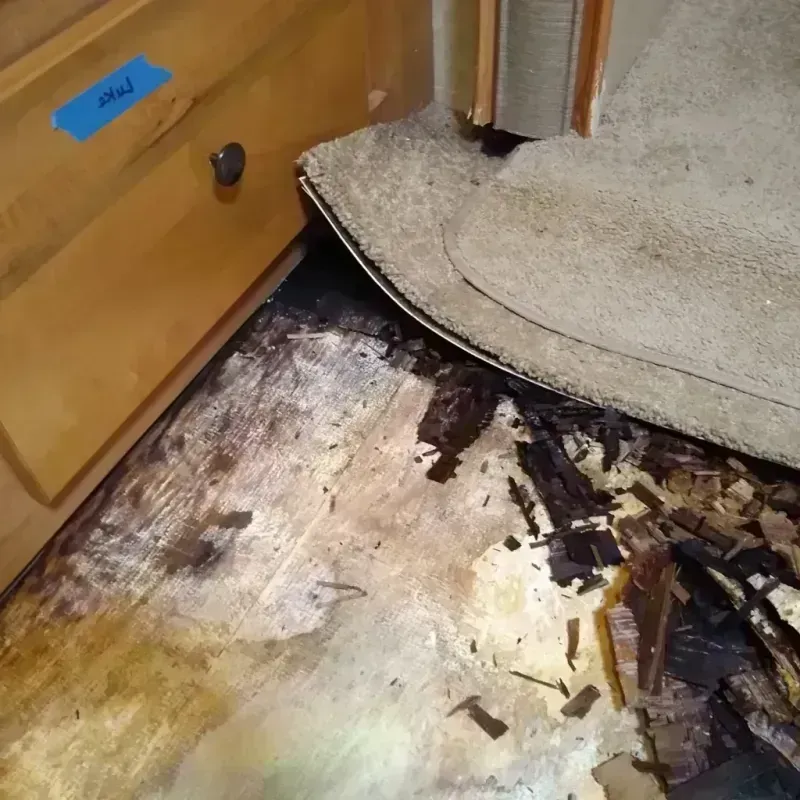 Wood Floor Water Damage in Burns, OR